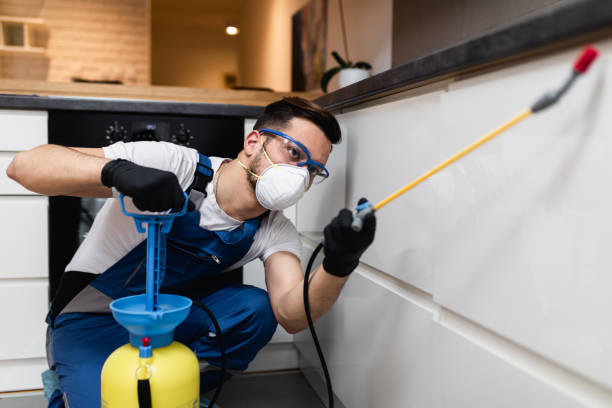 Best Ant Control Services  in Utica, IN