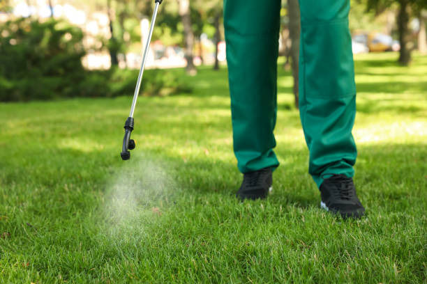 Best Mosquito Control Services  in Utica, IN