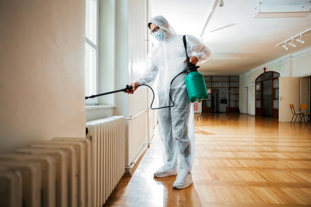 Best Flea Control Services  in Utica, IN