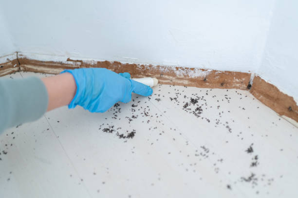 Best Commercial Pest Control Services  in Utica, IN