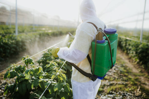 Best Pest Control Near Me  in Utica, IN